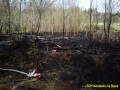 Požár lesa Hamry 2011